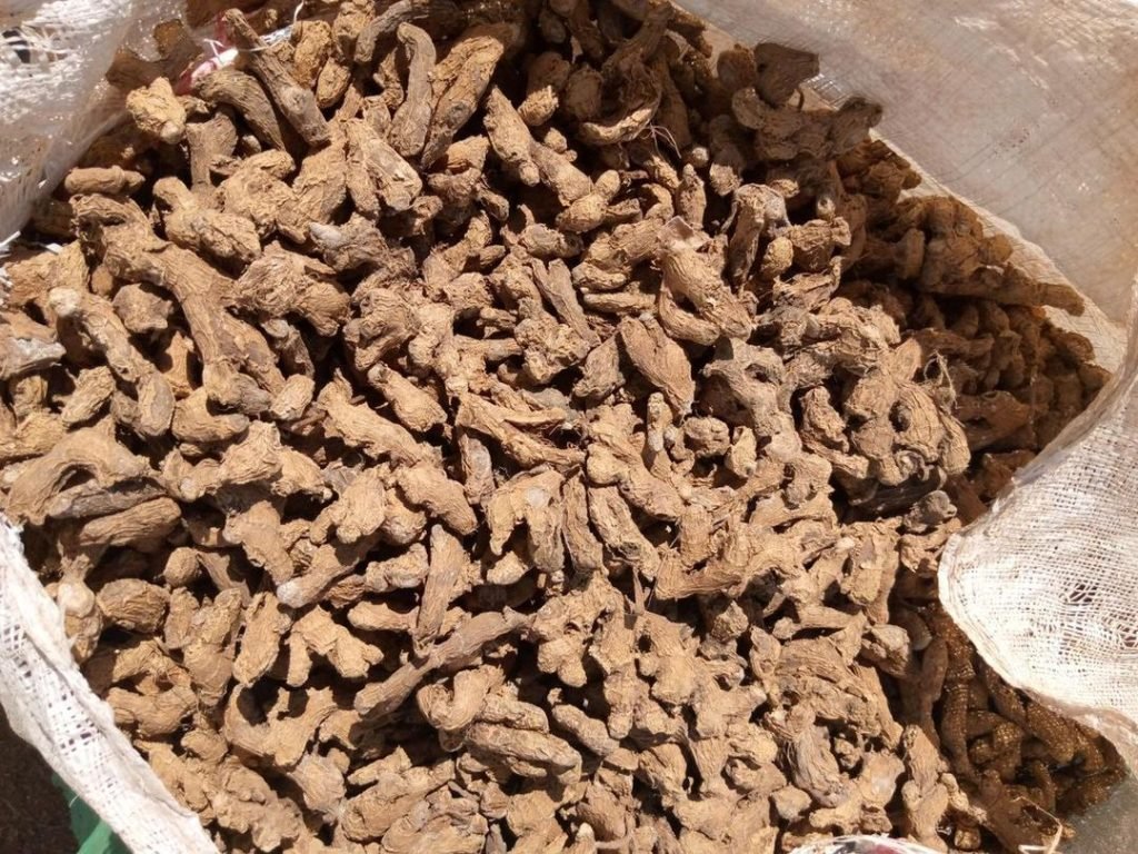 Dry Ginger, dried Ginger