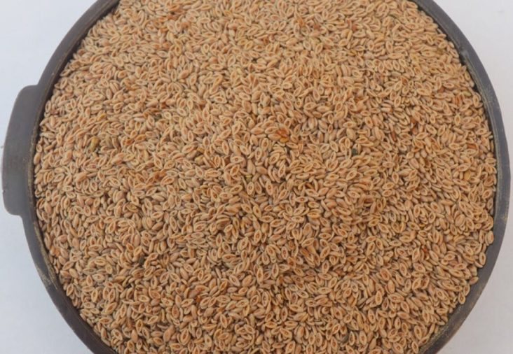 psyllium seeds